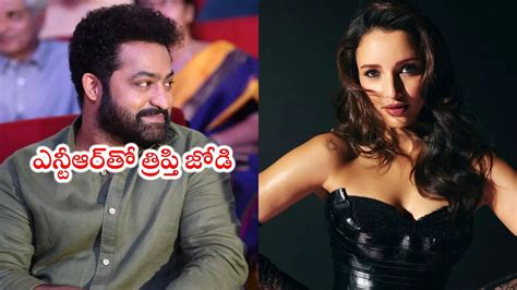 War 2 Update వార్ 2లో యానిమల్ బ్యూటీ ఎన్టీఆర్‌కి జోడీగా