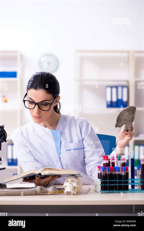 Female Paleontologist Working Hi Res Stock Photography And Images Alamy