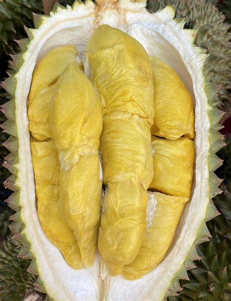 Mao Shan Wang Musang King Msw G Durian Delivery Singapore