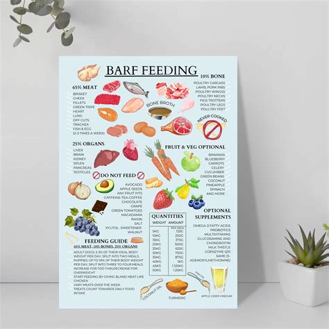Dog Raw Food Guide Raw Diet for Dogs BARF Dog Guide BARF Guide BARF Feeding Guide Poster Barf