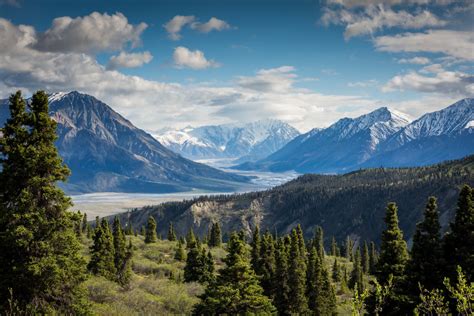 картинки пейзаж дерево природа лес пустыня гулять пешком гора