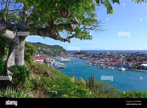 The View Of Gustavia Capital Of Saint Barth Lemy From The Jardin