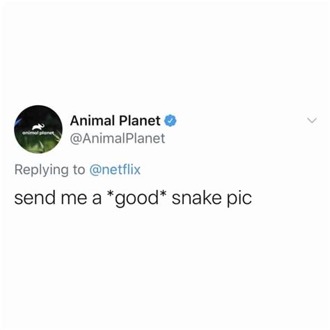 Things You Can Say During Sex But Also When You Manage A Brand Twitter Account A Thread Pics