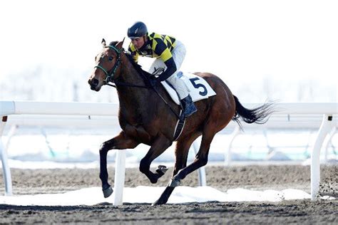 【こちら日高支局です・古谷剛彦】ホッカイドウ競馬で2歳馬が躍動 注目の新種牡馬勢も出走へ ライブドアニュース