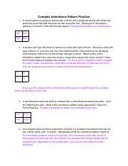 Practice Complex Inheritance Patterns