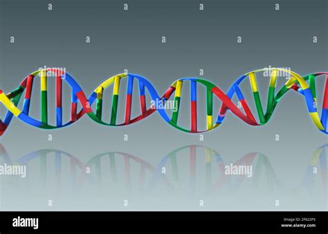 Dna chip oder biochip Fotos und Bildmaterial in hoher Auflösung