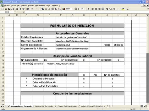 Figura N° 11vista Preliminar Del Formulario De Medición Para El