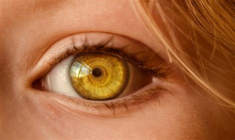 Close Up Of Human Eye · Free Stock Photo