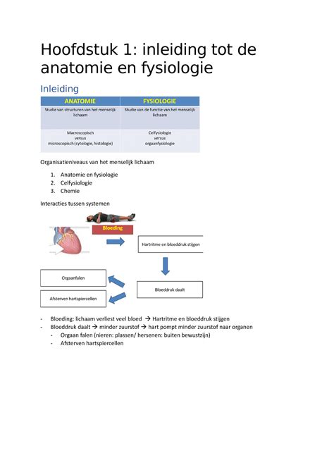 Hoofdstuk Samenvatting Hoofdstuk Inleiding Tot De Anatomie En