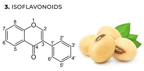 Los flavonoides de la marihuana qué son y cómo funcionan Sensi Seeds