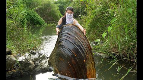 Wowthe Girl Fished Out A Huge Clam From The River With Beautiful