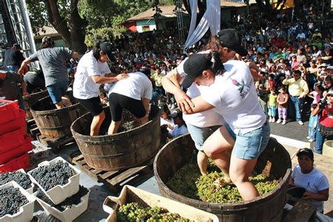 Fiesta De La Vendimia 2023 Vuelve A Santa Cruz Con Entrada Gratis