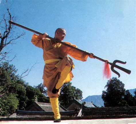 About :: American Shaolin Kung Fu