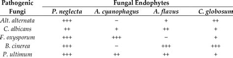 Antifungal Activity Of Endophytic Fungi Isolated From Z Spina Christi