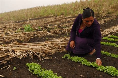 Mejorar Programas De Pr Stamos Para Mujeres Rurales Reto De Los Gobiernos