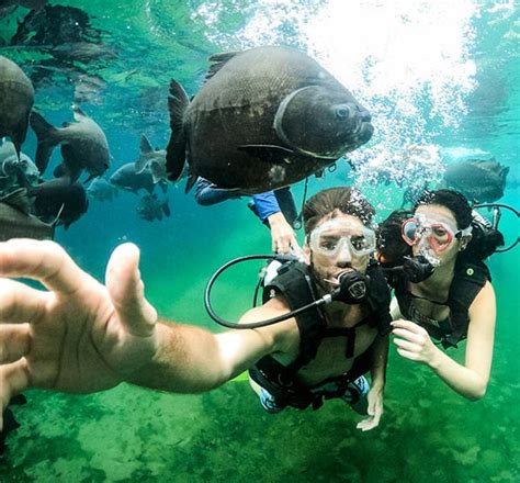Sobre o Hot Park O Paraíso de águas quentes para toda a família se divertir