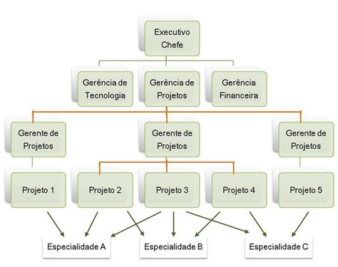 Contexto Do Gerenciamento De Projetos Promethodo