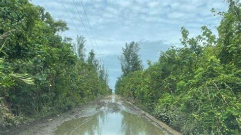 Jalan Menuju Kawasan Konservasi Penyu Berlumpur Dan Bau Busuk