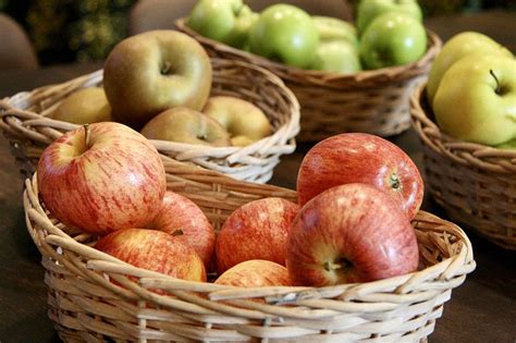 Tipos De Manzanas Caracter Sticas Y Recetas Para Cada Variedad