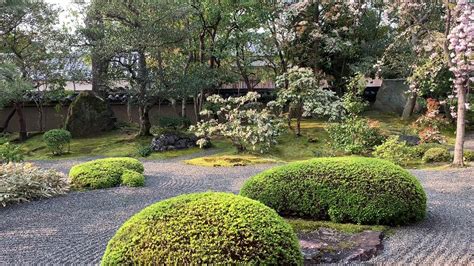 Rev Takafumi Kawakamis Min Guided Meditation In Front Of Shunkoin