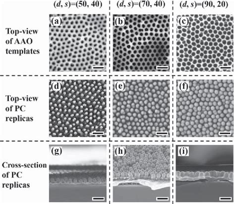 Figure From A High Performance And Low Cost Sers Substrate Of