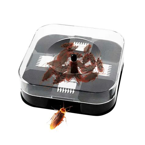 Cockroach Killer trap station, Non toxic, Pet & Child friendly bait ...