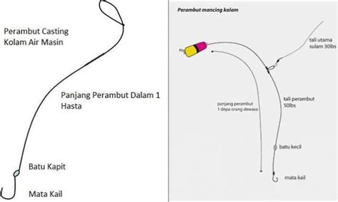 Soal Jawab Mancing Jenis Perambut Mancing Kolam Air Masin Umpan