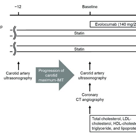 Study Design Abbreviations Ct Computed Tomography Hdl High Density