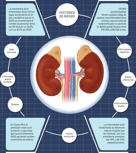 Insuficiencia Renal Aguda Nefrologia Al Dia Images