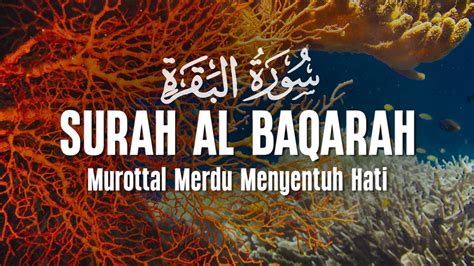 Surah Al Baqarah Dengan Suara Indah Membuat Hati Tenang