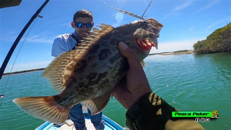 Jornada Con Jd Pesca En El Manglar Garropas Pargos Y R Balos Youtube