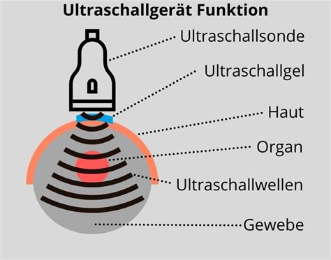 Ultraschallgeraet Funktion