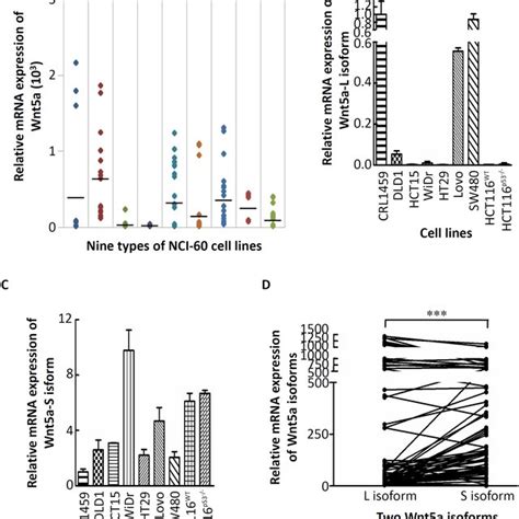 Wnt A Mrna Isoforms Expressions In Colorectal Cancer Crc Cells A