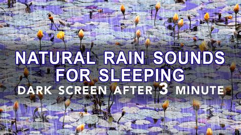 Natural Rain Sounds For Sleep Rainstorm Sounds For Relaxing Focus Or