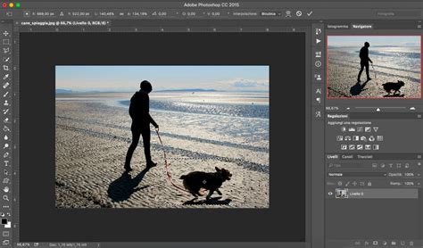 Ridimensiona E Trasforma Photoshop Essenziali Grafica HTML It