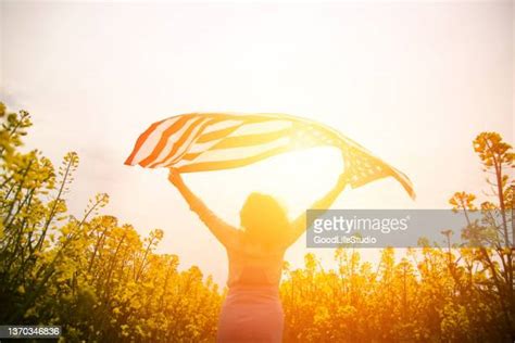 2513 Flower Field Silhouette Stock Photos High Res Pictures And