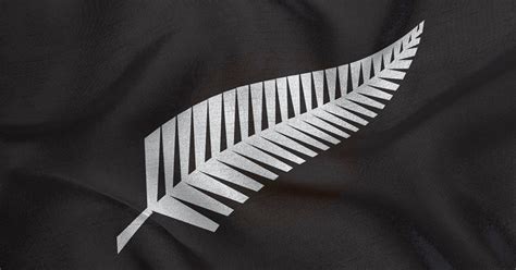 All Blacks Silver Fern - Logo Design - Australia | Dave Clark Design