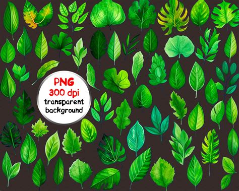 111 PNG Green Leaves Stickers Sheet, Green Leafs Stickers Design, for ...