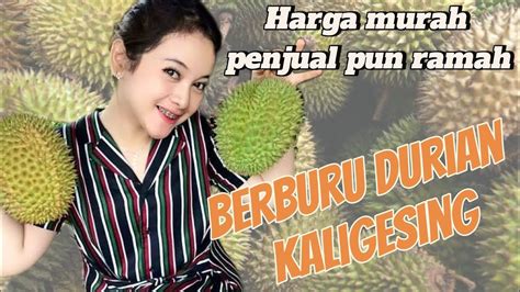 BERBURU DURIAN Durian Kaligesing Purworejo YouTube