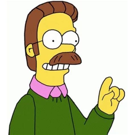 Ned Flanders Costume - The Simpsons Fancy Dress