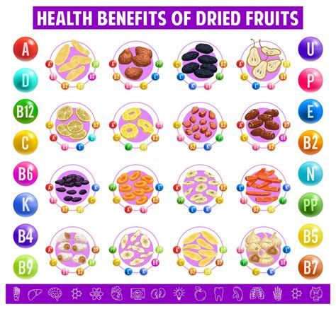 Dried Fruits Chart Table Content Of Vitamins 24082669 Vector Art At