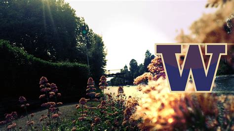 University Of Washington Wallpapers 4k Hd University Of Washington