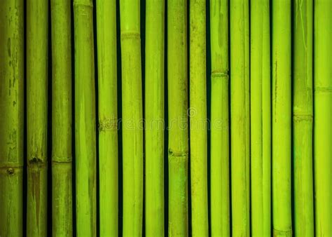 Textura De Bambú Verde De La Cerca Fondo De Bambú Fondo De La Textura