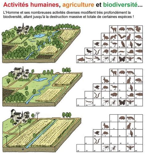 Activit S Humaines Agriculture Et Biodiversit Agroecologie