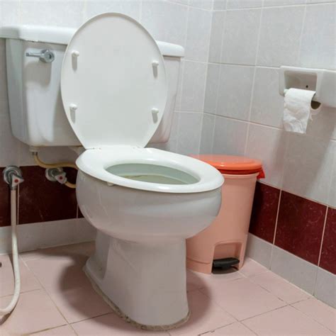 Always Close The Toilet Lid When You Flush Heres Why Toilet