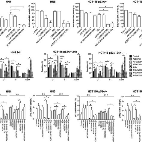 Modulation Of The Cell Cycle By DNA PK Inhibition And ATR Inhibition In