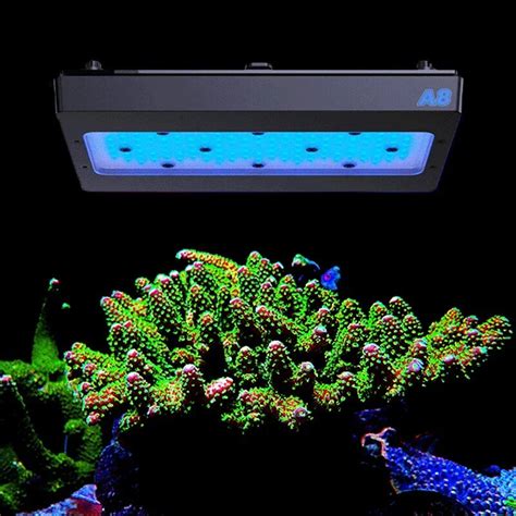 ┲Full Spectrum Aquarium LED Light, Magic Aquarium Light, App Control ...