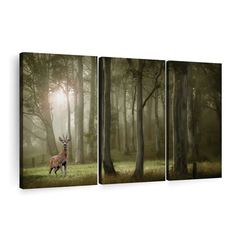 Young Woodland Deer Wall Art Photography