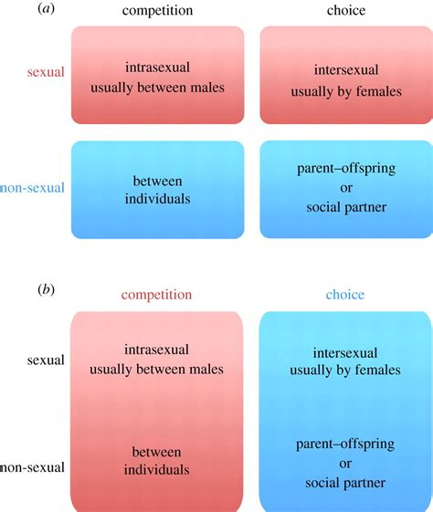 Sexual Selection Is A Form Of Social Selection Philosophical