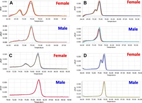 Derivative Melting Curves Of Four Snp Sex Linked Loci In Five Female Download Scientific